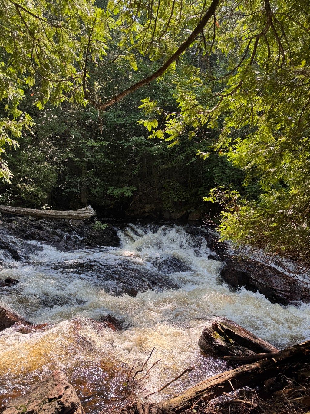 What I Wish I Knew Before My First Backcountry Camping Trip