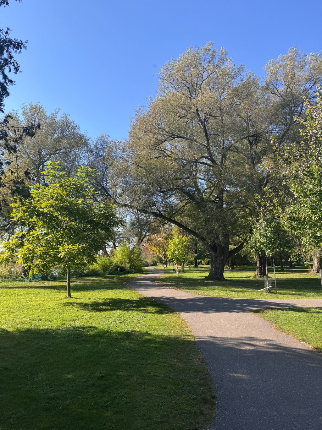Bellevue Park – A Central Nature Escape in Sault Ste. Marie