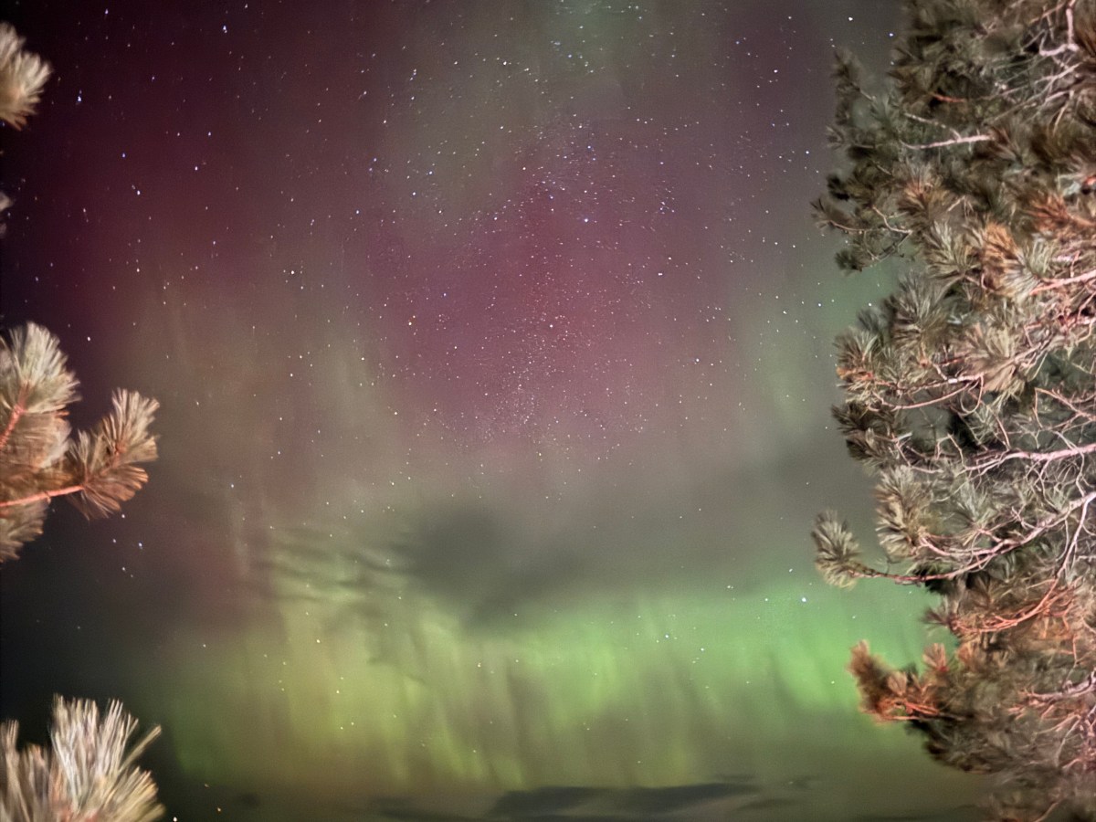 How to Capture the Northern Lights with a Phone&nbsp;Camera